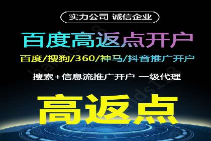 竞价广告赚钱：百度平台成功案例分析
